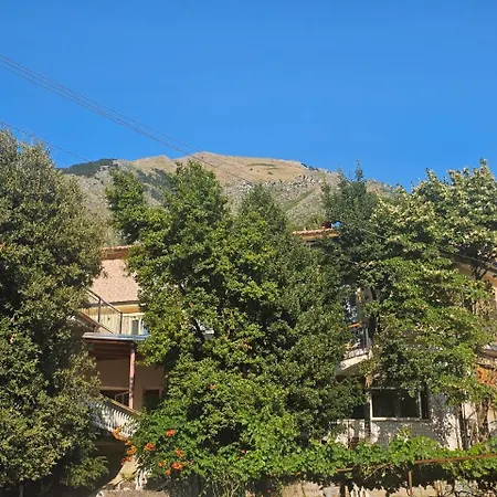 Ξενοδοχείο Petro